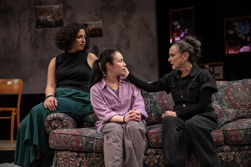 Review: THE ART OF CARE at Mosaic Theater Company  Image