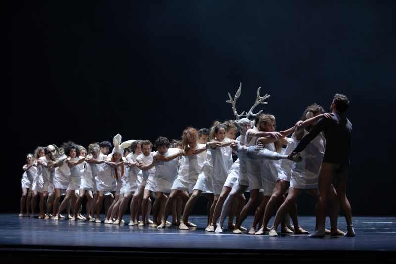 Review: PEER GYNT at Polish National Opera  Image