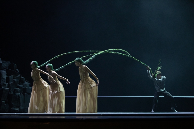 Review: PEER GYNT at Polish National Opera  Image