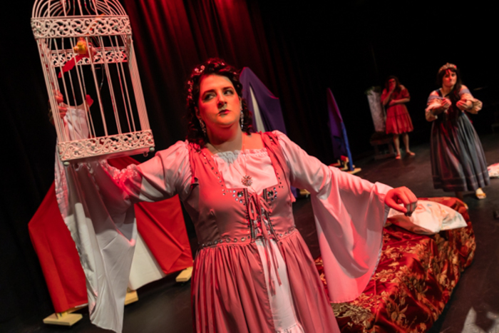 Photos: First look at Imagine Productions’ HEAD OVER HEELS Image