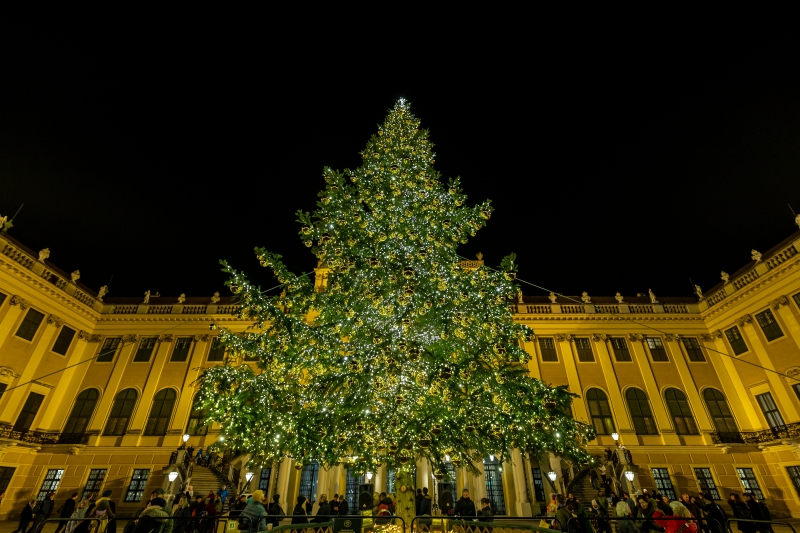 CHRISTMAS MARKET SCHÖNBRUNN at SCHÖNBRUNN PALACE  Image