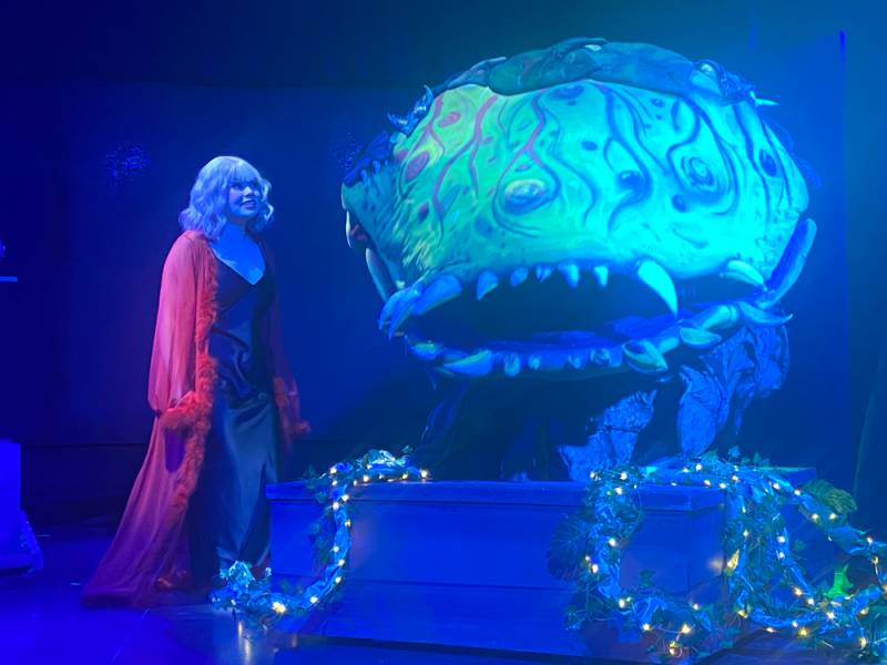 Review: LITTLE SHOP OF HORRORS at Revolution Stage Company  Image