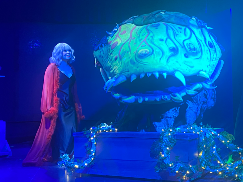 Review: LITTLE SHOP OF HORRORS at Revolution Stage Company Image