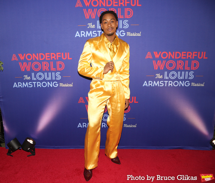 Photos: A WONDERFUL WORLD Cast on the Opening Night Red Carpet  Image