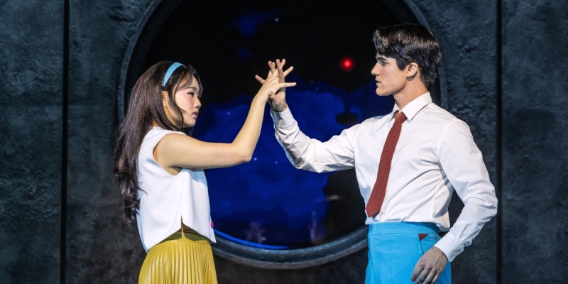 Wake Up With BroadwayWorld November 13, 2024 Image