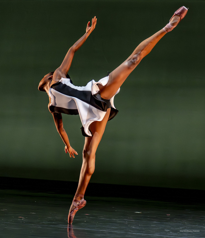 Previews: BALLETX FALL SERIES 2024 at Suzanne Roberts Theatre Image