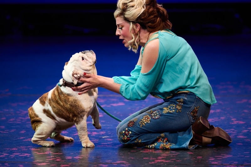 Review: LEGALLY BLONDE: THE MUSICAL at Village Theatre  Image