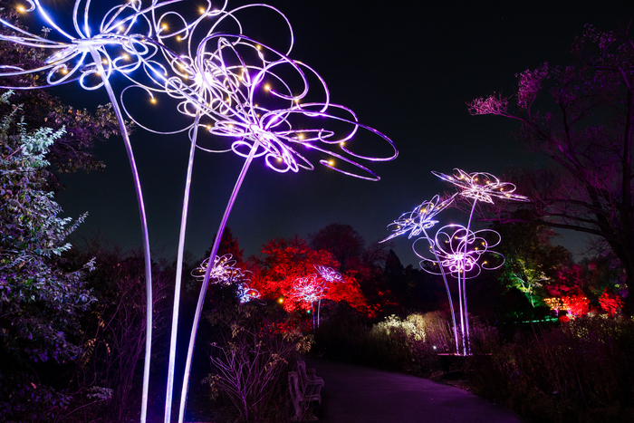 Photos: Brooklyn Botanic Garden's LIGHTSCAPE Image