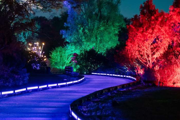 Photos: Brooklyn Botanic Garden's LIGHTSCAPE Image