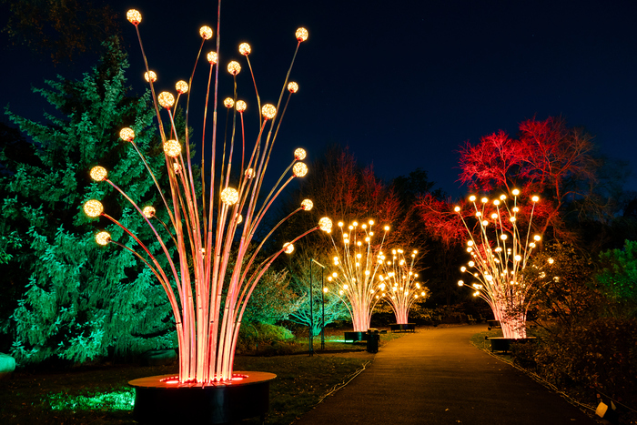 Photos: Brooklyn Botanic Garden's LIGHTSCAPE Image