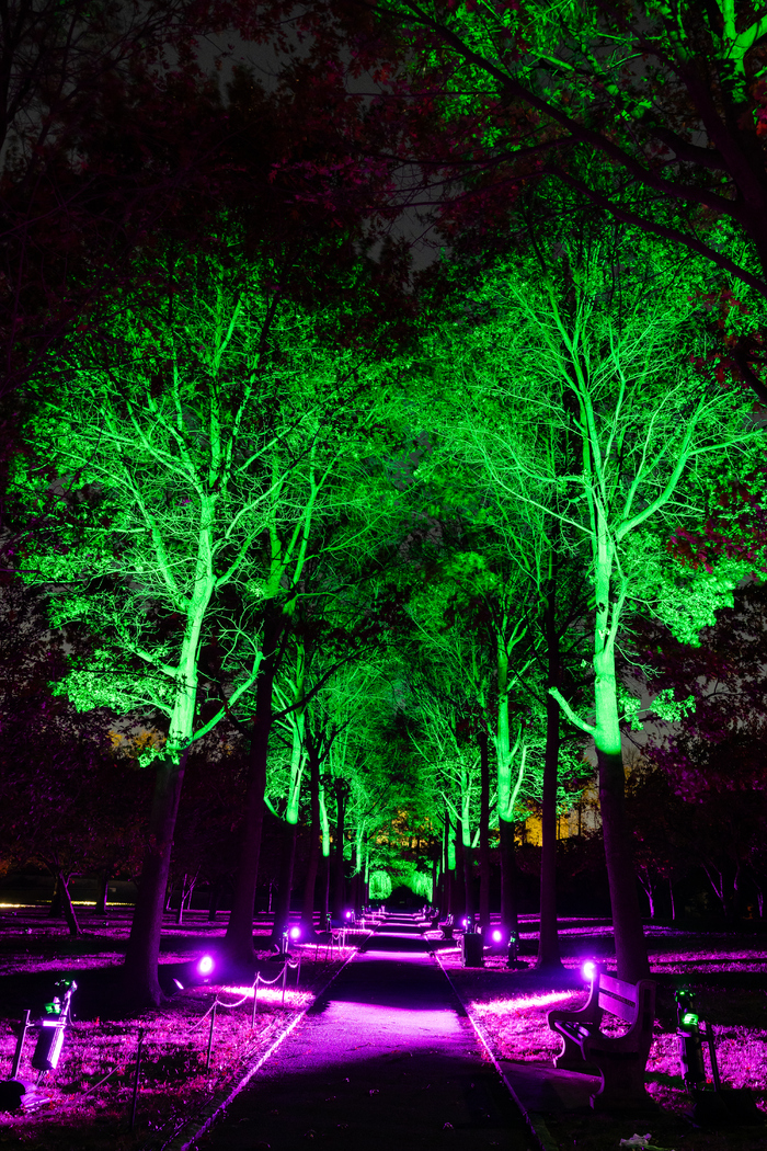Photos: Brooklyn Botanic Garden's LIGHTSCAPE Image
