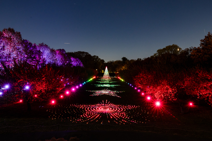 Photos: Brooklyn Botanic Garden's LIGHTSCAPE Image