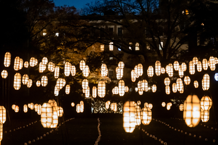 Photos: Brooklyn Botanic Garden's LIGHTSCAPE Image