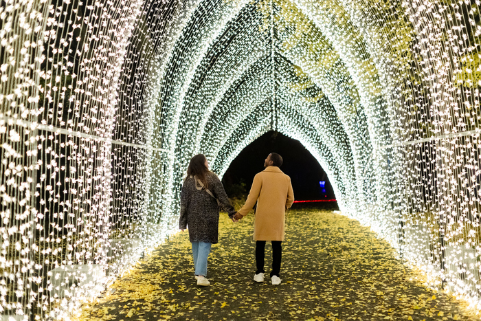 Photos: Brooklyn Botanic Garden's LIGHTSCAPE Image
