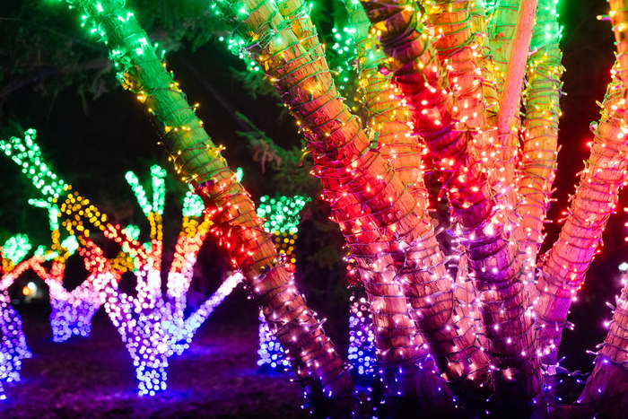 Photos: Brooklyn Botanic Garden's LIGHTSCAPE Image