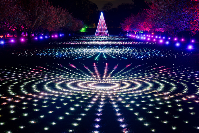 Photos: Brooklyn Botanic Garden's LIGHTSCAPE Image