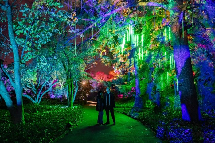 Photos: Brooklyn Botanic Garden's LIGHTSCAPE Image