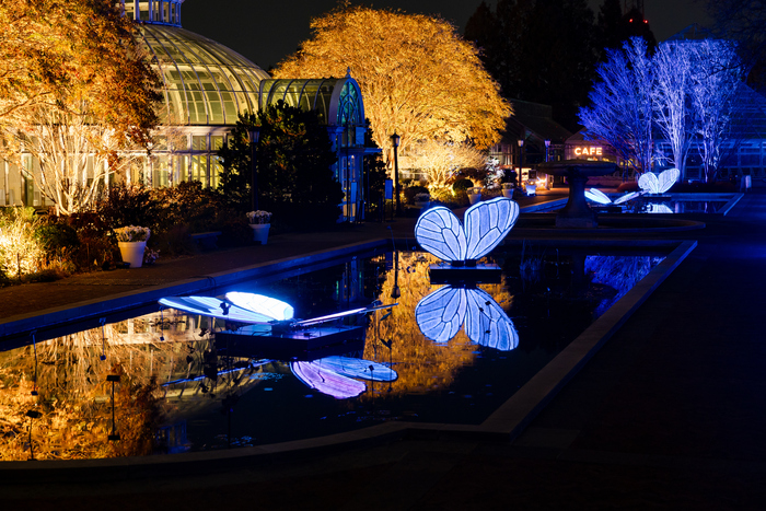Photos: Brooklyn Botanic Garden's LIGHTSCAPE Image
