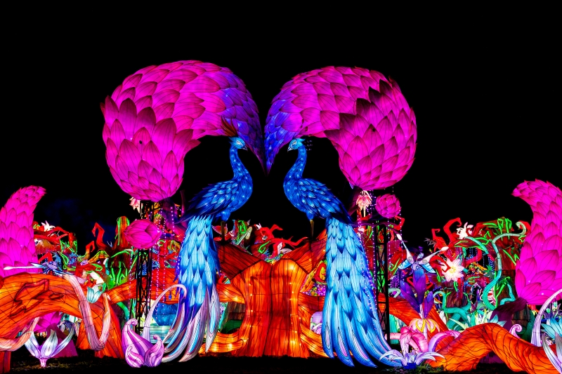 TIANYU LIGHTS FESTIVAL Makes NYC Debut-Tickets on Sale Now Image