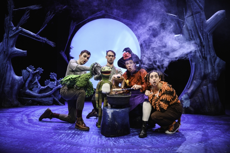 Review: ROOM ON THE BROOM, Lyric Theatre Image