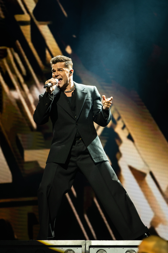 Photos: Ricky Martin Headlines AHF World AIDS Day Concert  Image