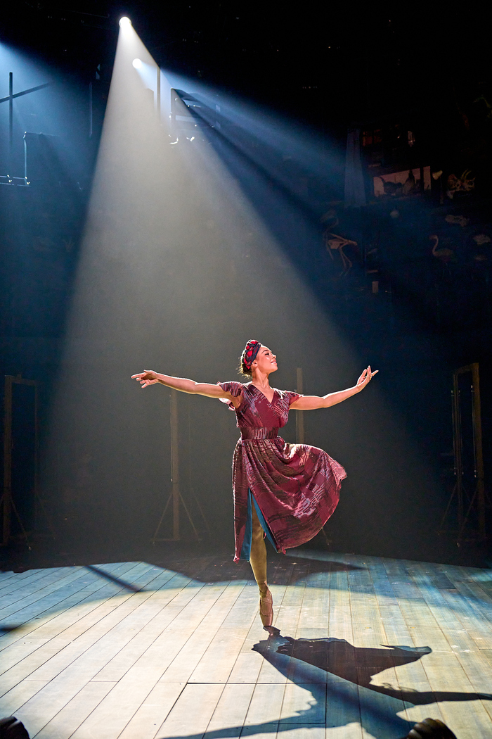 Photos: National Theatre's Adaptation of BALLET SHOES  Image