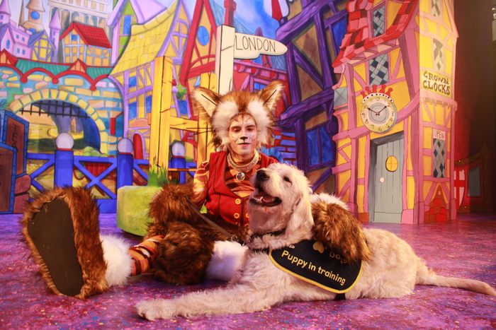 Photos: DICK WHITTINGTON Cast At The Belgrade Theatre Joined On Stage By Guide Dog Puppies Image