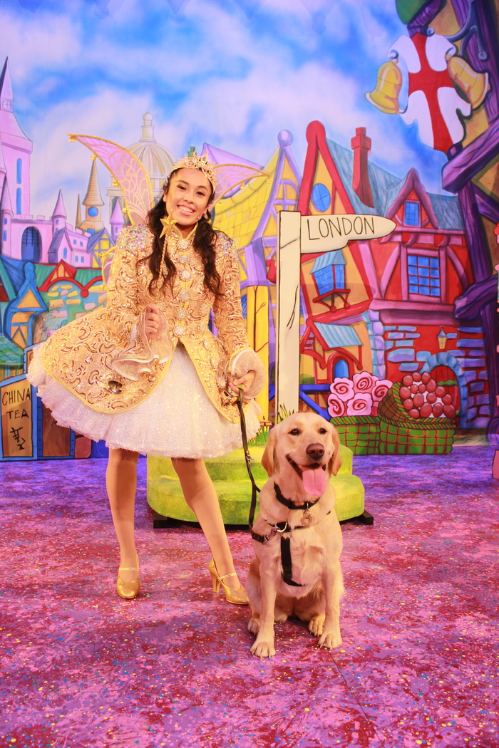 Photos: DICK WHITTINGTON Cast At The Belgrade Theatre Joined On Stage By Guide Dog Puppies  Image