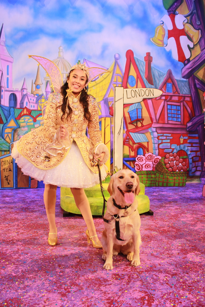 Photos: DICK WHITTINGTON Cast At The Belgrade Theatre Joined On Stage By Guide Dog Puppies Image