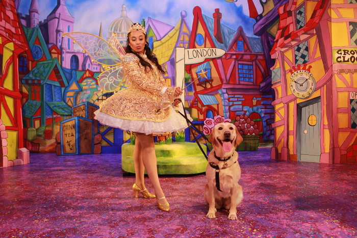 Photos: DICK WHITTINGTON Cast At The Belgrade Theatre Joined On Stage By Guide Dog Puppies Image