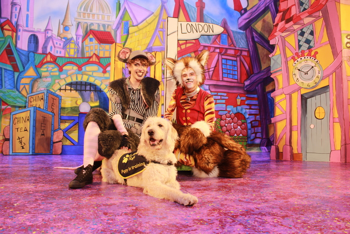 Photos: DICK WHITTINGTON Cast At The Belgrade Theatre Joined On Stage By Guide Dog Puppies Image