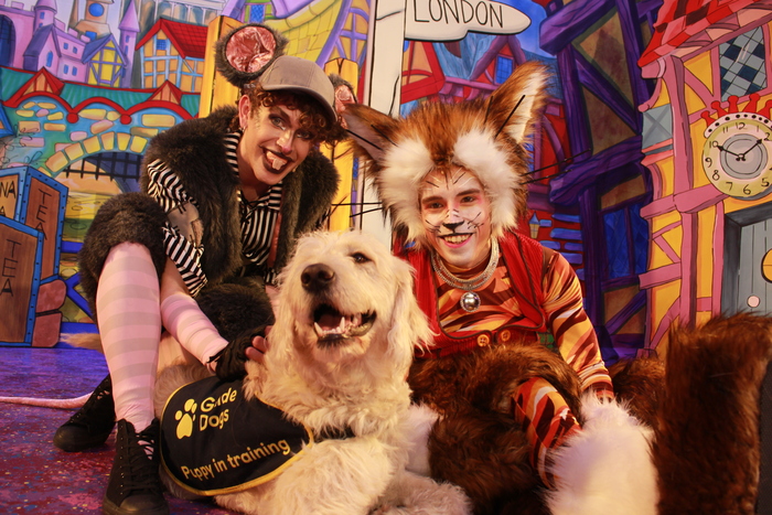 Photos: DICK WHITTINGTON Cast At The Belgrade Theatre Joined On Stage By Guide Dog Puppies  Image