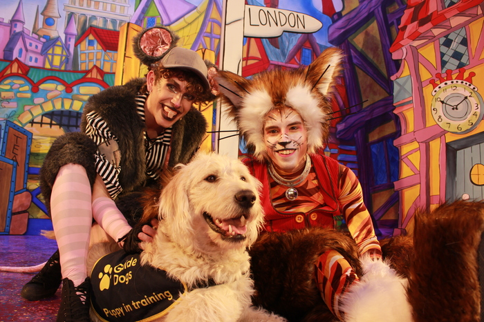 Photos: DICK WHITTINGTON Cast At The Belgrade Theatre Joined On Stage By Guide Dog Puppies  Image