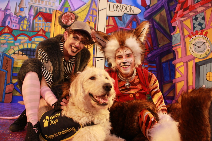 Photos: DICK WHITTINGTON Cast At The Belgrade Theatre Joined On Stage By Guide Dog Puppies Image