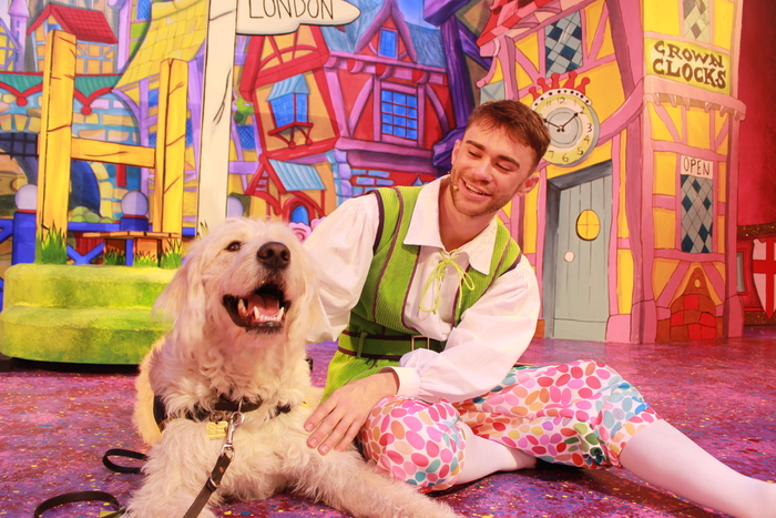 Photos: DICK WHITTINGTON Cast At The Belgrade Theatre Joined On Stage By Guide Dog Puppies  Image