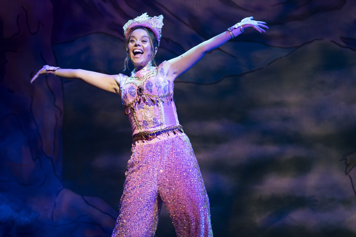 Photos: ALADDIN Opens at York Theatre Royal  Image