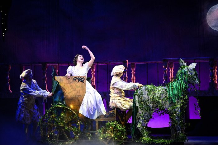 Photos: Rodgers + Hammerstein’s CINDERELLA At Duluth Playhose