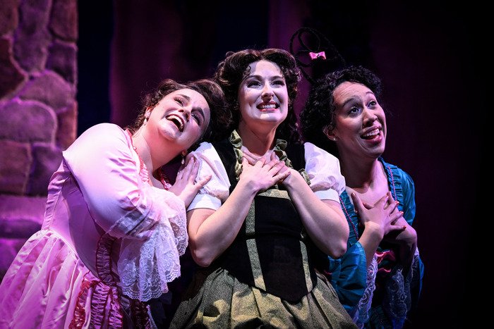 Photos: Rodgers + Hammerstein’s CINDERELLA At Duluth Playhose Image