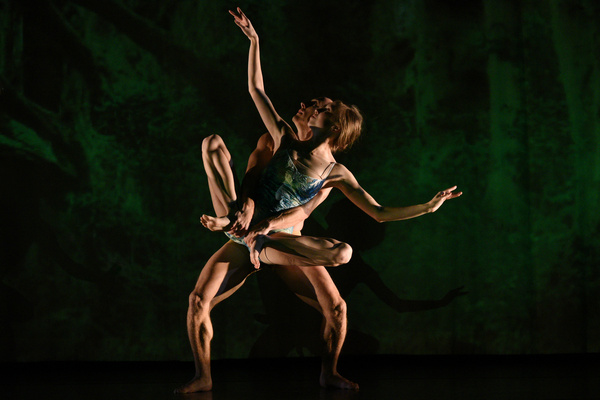 Photos: MOMIX to Bring ALICE to the Warner Theatre in January Image
