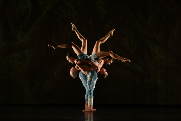 Photos: MOMIX to Bring ALICE to the Warner Theatre in January  Image