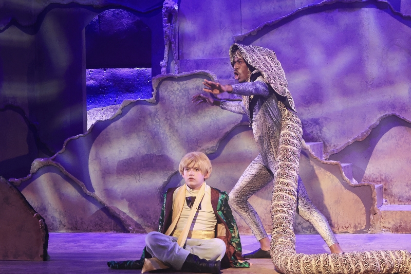 Review: THE LITTLE PRINCE at Opera In The Heights!  Image