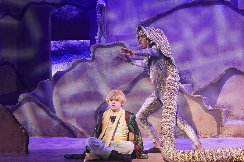 Review: THE LITTLE PRINCE at Opera In The Heights! Image