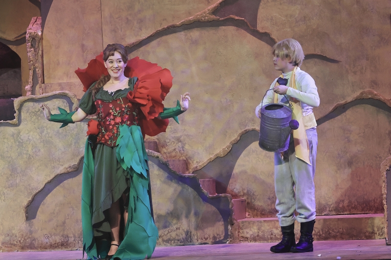 Review: THE LITTLE PRINCE at Opera In The Heights!  Image