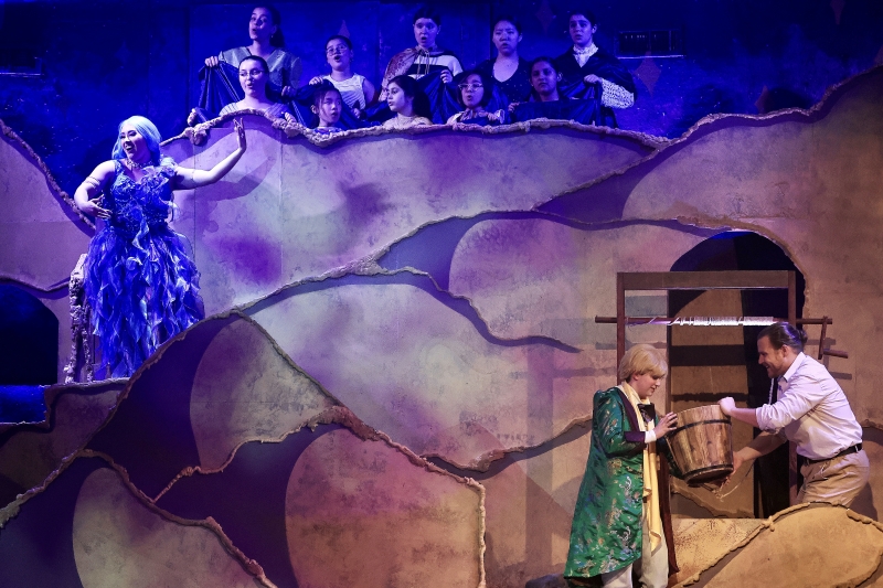 Review: THE LITTLE PRINCE at Opera In The Heights!  Image