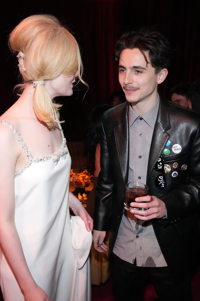 Elle Fanning and Timothée Chalamet Photo