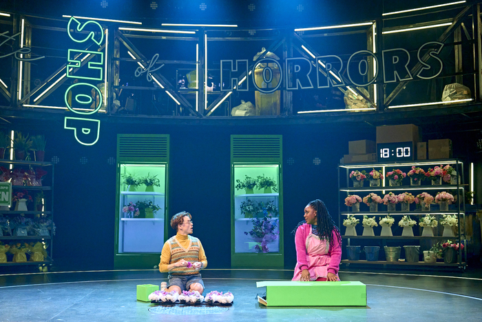 Photos: LITTLE SHOP OF HORRORS at the Crucible Theatre, Sheffield Image