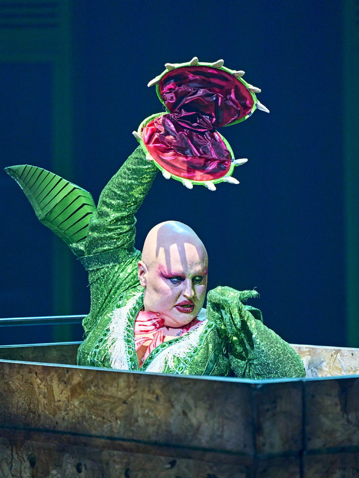 Photos: LITTLE SHOP OF HORRORS at the Crucible Theatre, Sheffield  Image