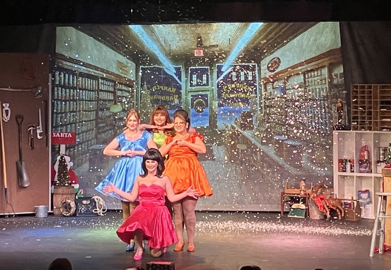 Review: WINTER WONDERETTES at The Pocket Community Theatre  Image