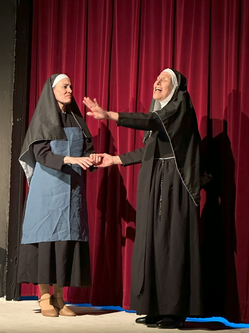 Review: THE SOUND OF MUSIC at Theatre 29  Image