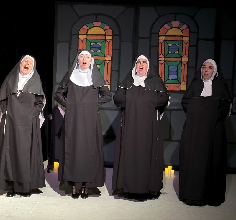 Review: THE SOUND OF MUSIC at Theatre 29  Image